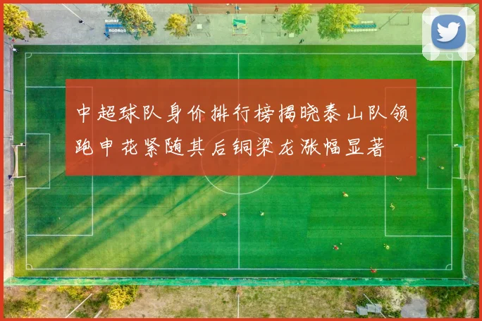 中超球队身价排行榜揭晓泰山队领跑申花紧随其后铜梁龙涨幅显著